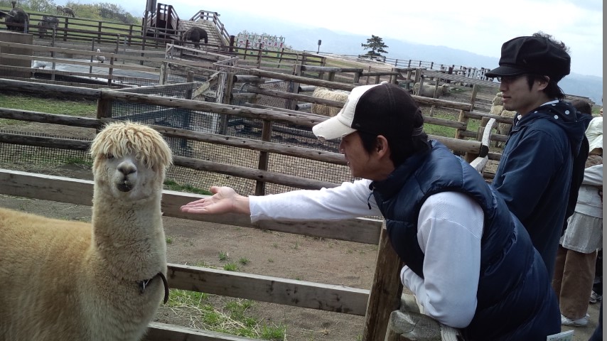 アルパカと戯れるO9保